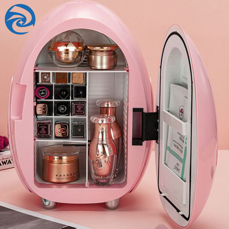 100V aan 240V Mini Fridge For Skincare Products 42W 10L